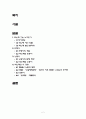 박노해론 2페이지