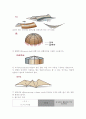 셀구조 6페이지
