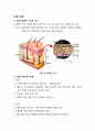 피부 감각계 질환 2페이지
