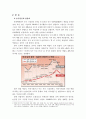중국 마케팅 (중국관광객들을 잡아라) 2페이지