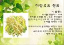 미강유[rice bran oil]에 대하여 5페이지
