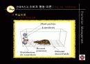 (판매촉진론)소비자 판매촉진 12페이지