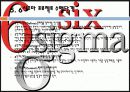 6시그마 12페이지
