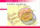 재래시장 활성화 방안(속초 중앙시장) 11페이지