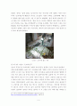 동물학대 사례 분석 9페이지