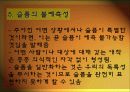 슬픔 상담 (상실과 슬픔의 치유)  26페이지