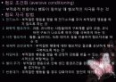  [행동치료] 고전적 조건형성의 개념, 조작적 조건형성의 주요개념, 반두라의 관찰학습이론, 행동주의 상담의 목표, 상담과정, 상담 기법 등등  14페이지