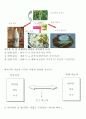 경영학개론-중간교안 19페이지