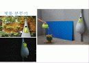 생소한이라는 키워드로 건축 디자인에 관한 이야기 15페이지
