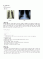 아동케이스 천식,폐렴 pneumonia, asthma 케이스 case 4페이지
