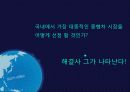 기아자동차 K5 기획 - 디자인으로 진검 승부 2페이지