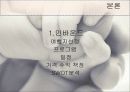 태교여행 상품개발 5페이지