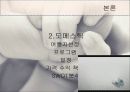 태교여행 상품개발 18페이지
