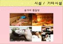 한류를 이용한 크루즈상품의 개발 16페이지