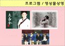 한류를 이용한 크루즈상품의 개발 20페이지
