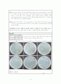 Isolation of bacteria that grow on p-cresol 6페이지