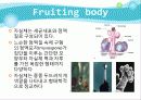 Myxobacteria와 Dictyostelium 6페이지