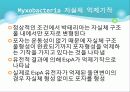 Myxobacteria와 Dictyostelium 10페이지