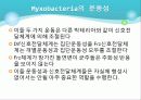 Myxobacteria와 Dictyostelium 12페이지