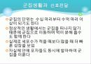 Myxobacteria와 Dictyostelium 13페이지