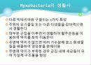 Myxobacteria와 Dictyostelium 17페이지