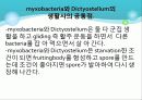 Myxobacteria와 Dictyostelium 20페이지