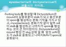 Myxobacteria와 Dictyostelium 21페이지