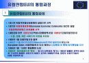 다국적기업의 경제적 환경- 유럽연합(EU) 3페이지