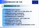 다국적기업의 경제적 환경- 유럽연합(EU) 5페이지
