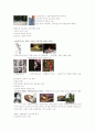 현대미술의 이해 중간정리. 49페이지