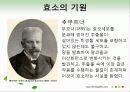 효소와 효소의 활용 6페이지