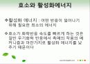 효소와 효소의 활용 13페이지