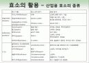 효소와 효소의 활용 18페이지