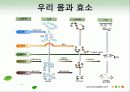 효소와 효소의 활용 24페이지