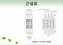 효소와 효소의 활용 26페이지