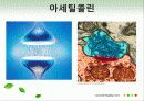 효소와 효소의 활용 27페이지