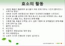 효소와 효소의 활용 33페이지