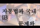 자본시장통합법 개정안과 투자은행 -자통법과 국내 IB 문제와 대안 1페이지