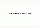 자본시장통합법의 기대효과 - 자본시장통합법의 효과 3페이지