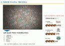 커피 시장 현황 (커피 프렌차이즈별 시장조사) 7페이지