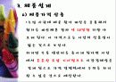 유압펌프 35페이지