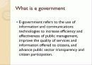 E government 3페이지