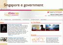 E government 15페이지