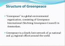 Green peace 7페이지