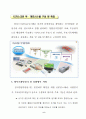 공직선거에 전자투표를 도입해야 한다 8페이지