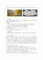 BLT 제조시험 15페이지