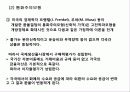 환율의 결정이론 27페이지