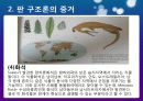 판구조론 (Plate Tectonics Theory) 17페이지