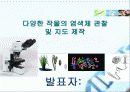 다양한 작물의 염색체 관찰 및 지도 제작 1페이지