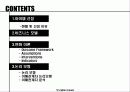 [기업가 정신의 발현] 사회적 기업가 정신에 대한 분석과 혁신 및 비지니스모델 [2012년 평가우수자료] 2페이지